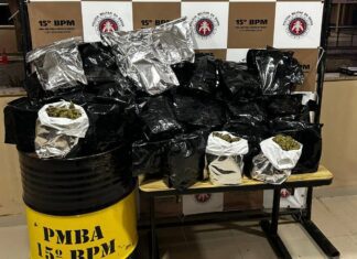 Polícia Intercepta Carro E Apreende 45 Kg De Maconha Na Bahia