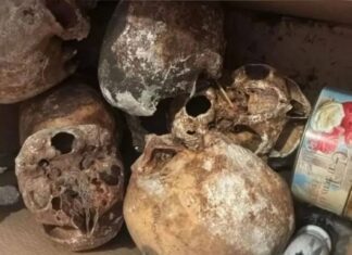 Mais De 12 Crânios São Encontrados Por PM Em Apartamento De Bairro Nobre De SP
