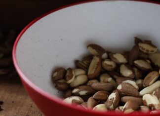 Agricultura familiar do Nordeste vai à maior feira mundial alimentos