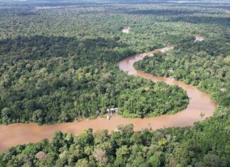 COP30: 144 países já apresentaram planos para adaptação climática