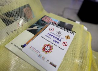 Estudantes Da Rede Estadual Iniciam Curso Para CNH Em Salvador