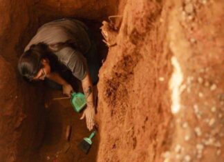 Estacionamento Com Cemitério De Escravizados Em Salvador é Interditado