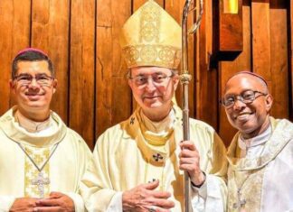 Arquidiocese De Salvador Apresenta Novos Bispos Em Missa Na Catedral Basílica