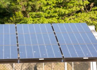 Ceará: Associação alerta para avanço de usinas solares na Caatinga