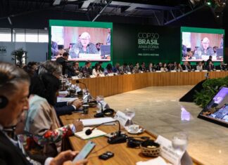Pré-COP mapeia 423 projetos ativos que contribuirão com ações do clima
