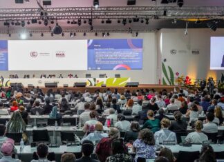 Acordo da COP30 triplica financiamento, mas não inclui Mapa do Caminho