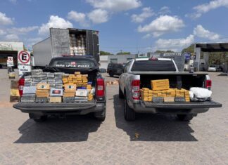 Polícia Apreende Mais De 200 Kg De Drogas Em Santo Estêvão