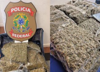 PF Prende Três Pessoas Por Tráfico De Drogas No Aeroporto De Salvador