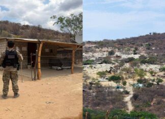 PF Desmonta Garimpo Ilegal Dentro De Parque Nacional Na Bahia