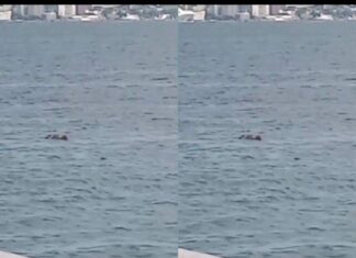 Homem é Encontrado Morto Na Praia Da Boa Viagem