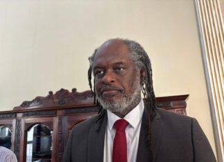 Sílvio Humberto Cobra Gelo Gratuito E Direito De Imagem Para Ambulantes No Carnaval