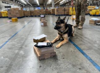 Operação Em Centro Dos Correios Intercepta Drogas, Anabolizantes E Arma
