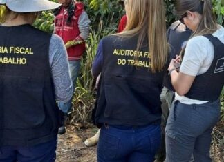 MTE Divulga Distribuição De Vagas Do Concurso Para Auditor Fiscal