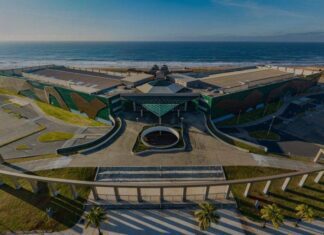 Bahia Potência Empresarial Reúne 2 Mil Empreendedores No Centro De Convenções