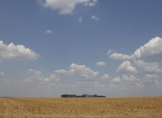 Fronteira Cerrado: desenvolvimento e destruição no agronegócio