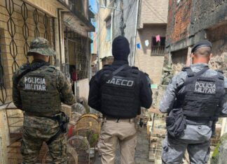 MPBA Denuncia Líder E 23 Suspeitos De Integrar Maior Rede De Tráfico De Aves Do País