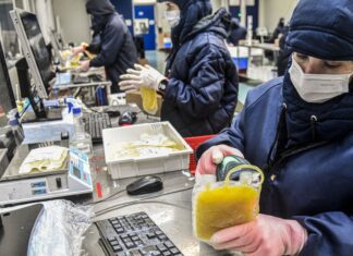 SUS vai ampliar aproveitamento de plasma sanguíneo em 30%