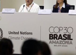 80 países e organizações já aderiram a Plano de Ação em Saúde de Belém