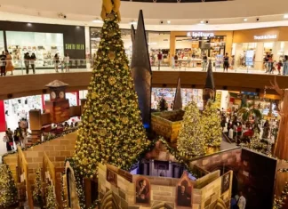 Shopping Paralela Celebra 20 Anos De Harry Potter E Exibe Sessões Especiais Do Filme