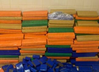 PM Apreende Quase Uma Tonelada De Maconha Em Operação Em Simões Filho