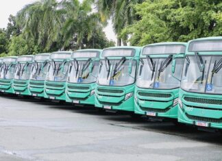 Carnaval De Salvador Terá Operação Especial De Mobilidade Com Linhas 24h