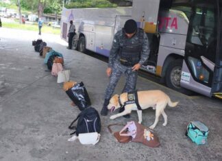 PM Reforça Segurança No Terminal Rodoviário De Salvador