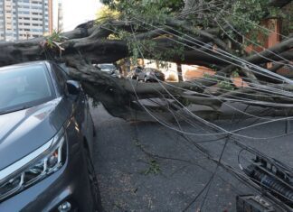 Comércio perde mais de R$ 50 milhões com falta de energia em São Paulo
