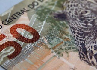 Fundações sem fins lucrativos pagam salários maiores que empresas