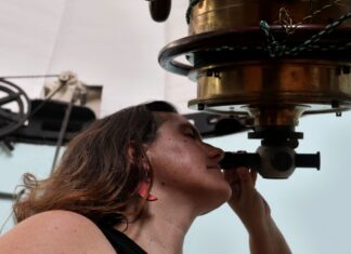 Produção científica brasileira volta a crescer em 2024