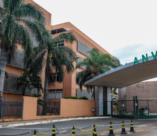 Anvisa: suplementos com cúrcuma podem trazer risco de danos ao fígado