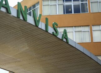 Anvisa manda recolher panetones com fungo