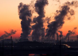 Sair da Convenção do Clima “é gol contra” dos EUA, diz Stiell Sair da Convenção do Clima "é gol contra" dos EUA, diz Stiell