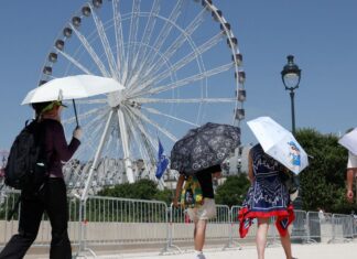 Europa: temperatura alta pode elevar transmissão do vírus Chikungunya Europa: temperatura alta pode elevar transmissão do vírus Chikungunya