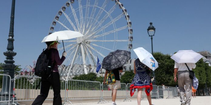 Europa: temperatura alta pode elevar transmissão do vírus Chikungunya
