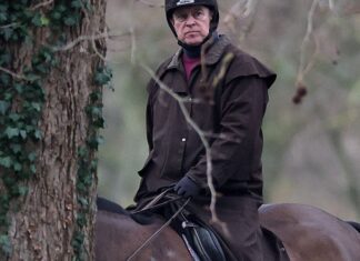 Caso Epstein: ex-príncipe Andrew é preso sob suspeita de má conduta Caso Epstein: ex-príncipe Andrew é preso sob suspeita de má conduta