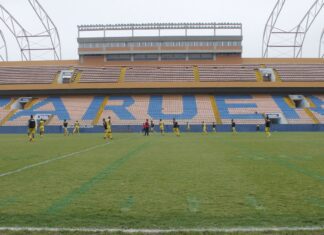 Palmeiras e Fluminense jogam nesta quarta; Rádio Nacional transmite Palmeiras e Fluminense jogam nesta quarta; Rádio Nacional transmite