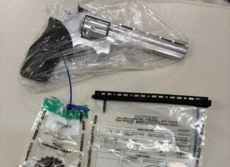 Suspeito é Preso Com Arma Durante Investigação Sobre Morte De Vereador E Assessor Em Santo Amaro