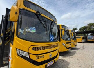 Salvador Ganha ônibus Climatizados A Partir De Domingo (1ª) Em Salvador
