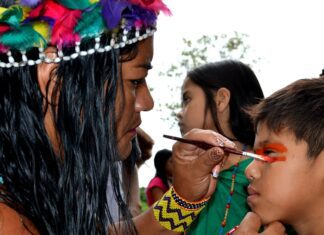 MEC anuncia construção de 117 escolas indígenas no Brasil