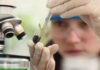 Prêmio para mulheres e meninas cientistas abre inscrições até outubro