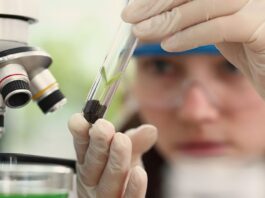 Imersão científica leva alunas e professoras a centros tecnológicos