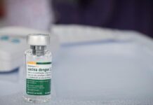 Vacina brasileira contra a dengue mantém eficácia por até 5 anos