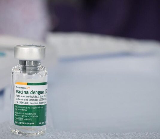 Vacina brasileira contra a dengue mantém eficácia por até 5 anos