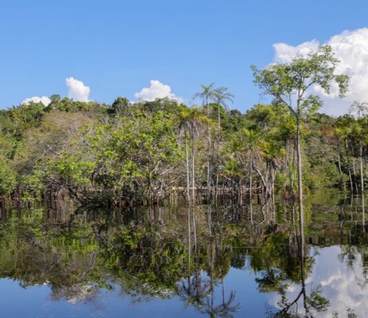 Governo levantou R$ 179 bi desde 2023 para transição ecológica