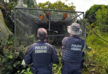 PF Realiza Prisões E Buscas Na Bahia E Em Mais Quatro Estados Em Operação Contra Tráfico De Animais