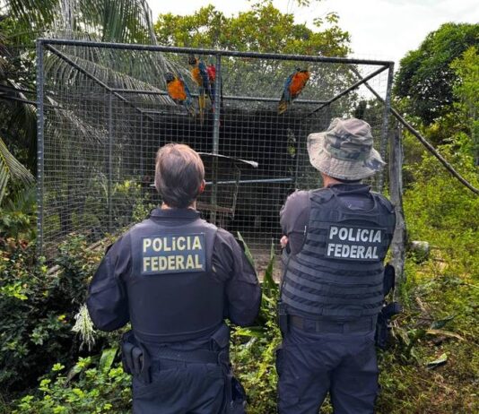 PF Realiza Prisões E Buscas Na Bahia E Em Mais Quatro Estados Em Operação Contra Tráfico De Animais