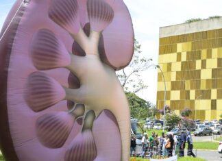 Dia Mundial do Rim: doenças renais são silenciosas e exigem atenção