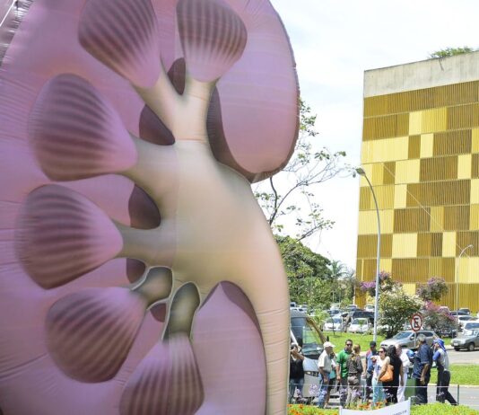 Dia Mundial do Rim: doenças renais são silenciosas e exigem atenção