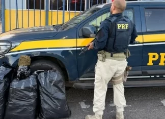 Motorista Foge De Fiscalização Da PRF, Cai Em Ribanceira E Abandona 30 Kg De Maconha Na BR-101