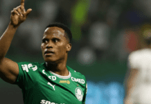 Palmeiras derrota Botafogo e assume liderança do Campeonato Brasileiro Palmeiras derrota Botafogo e assume liderança do Campeonato Brasileiro